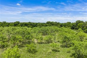 153 Acres FM 583 - Photo 6