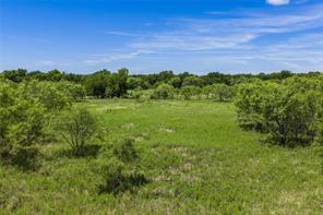 153 Acres FM 583 - Photo 8