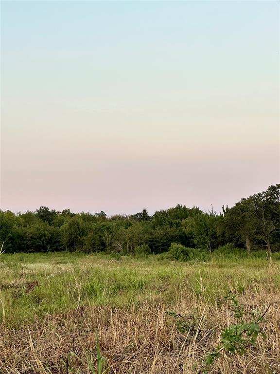 TBD County Road 2174
