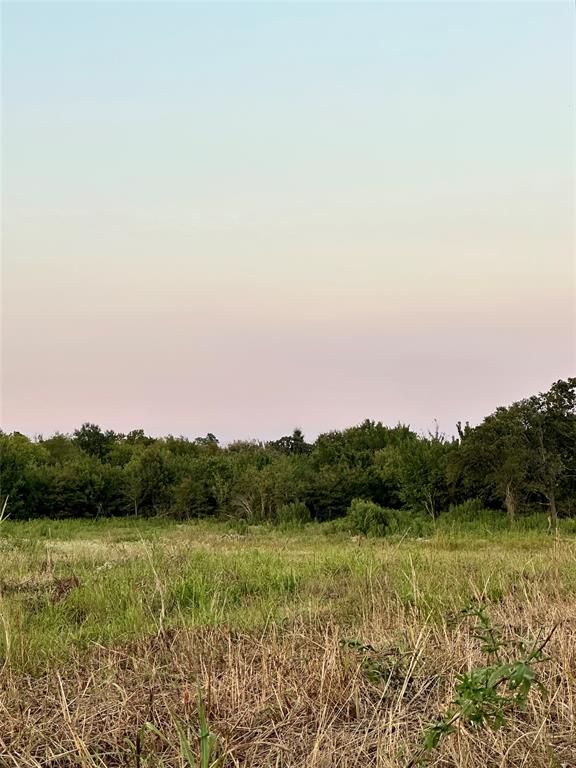 TBD County Road 2174 - Photo 1