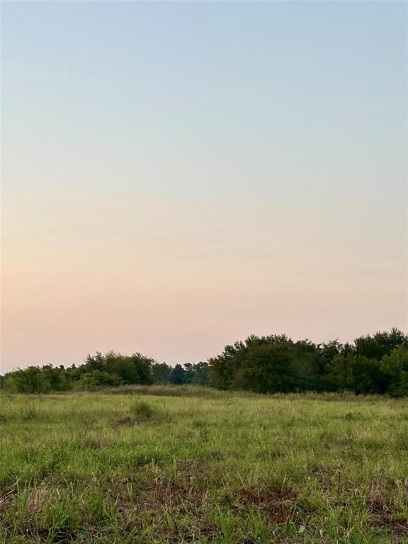 TBD County Road 2174 - Photo 5