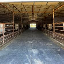 10145 Friendship Road - Photo 15