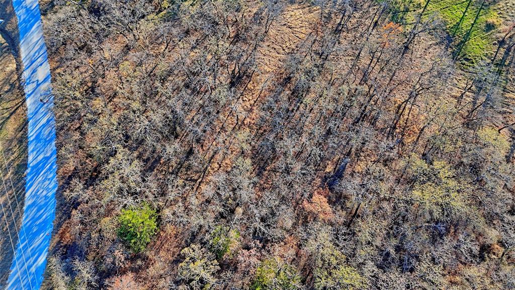 103 Diamond Oaks Drive - Photo 20