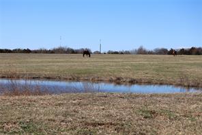 164 JRC Ranch Court - Photo 12