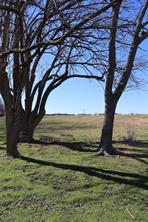 164 JRC Ranch Court - Photo 9