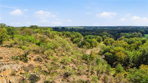 TBD County Road 182 - Photo 13