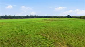 TBD County Road 182 - Photo 20