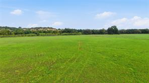 TBD County Road 182 - Photo 21