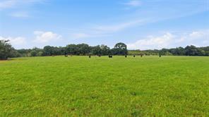 TBD County Road 182 - Photo 3