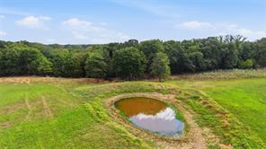 TBD County Road 182 - Photo 31