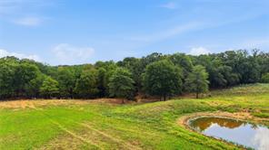 TBD County Road 182 - Photo 35