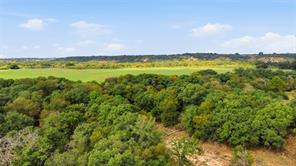 TBD County Road 182 - Photo 36