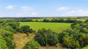 TBD County Road 182 - Photo 37