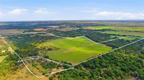 TBD County Road 182 - Photo 40