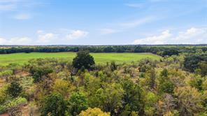 TBD County Road 182 - Photo 5
