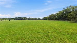 TBD County Road 182 - Photo 6