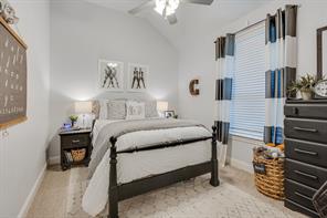 6200 Savannah Oak Trail - Photo 27