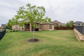 6200 Savannah Oak Trail - Photo 32