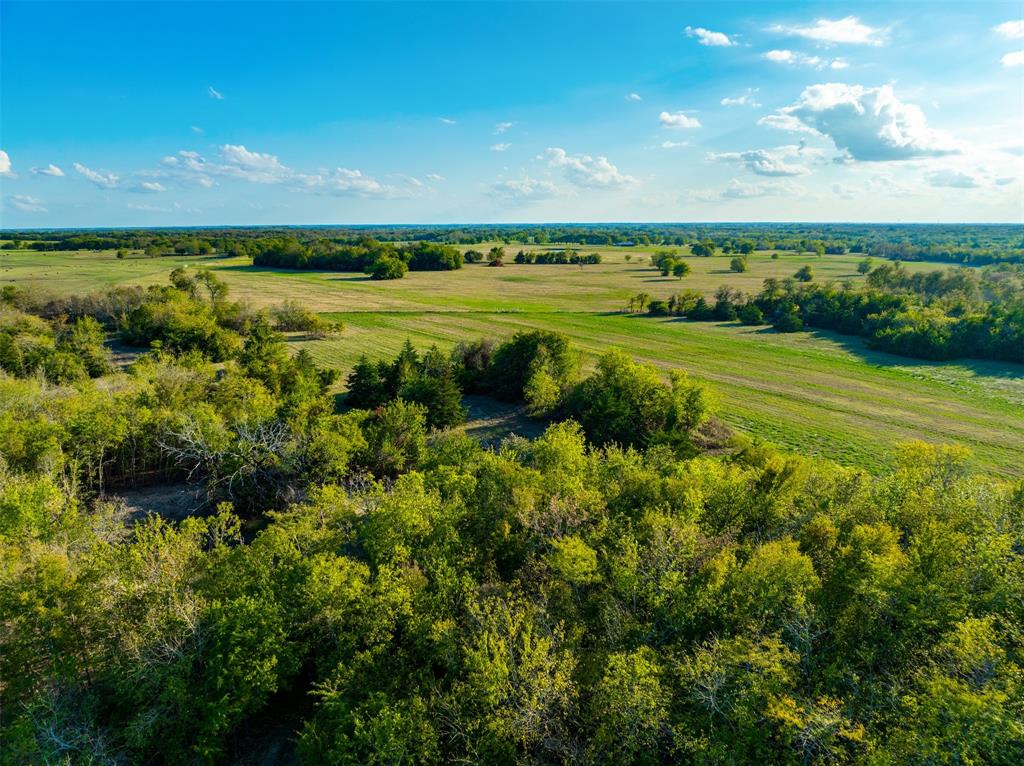 TBD County Road 23300 - Photo 10