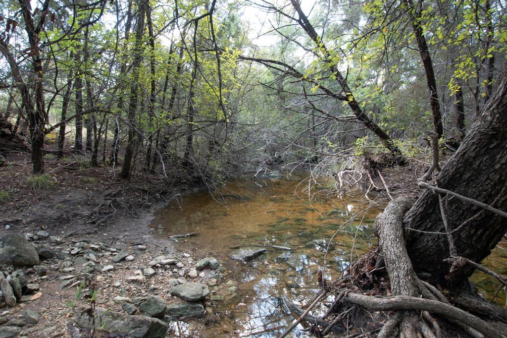 TBD TBD-384 Acres - Photo 11
