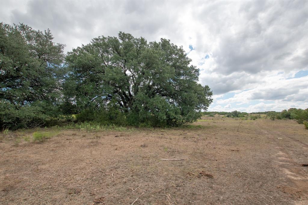 TBD TBD-384 Acres - Photo 4