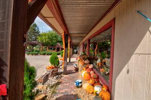 617 W MAIN - Photo 4