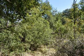 2035 CR 448 - Photo 14