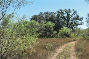 2035 CR 448 - Photo 23