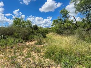 2035 CR 448 - Photo 24