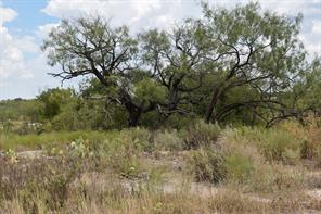 2035 CR 448 - Photo 26