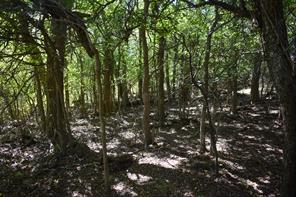 2035 CR 448 - Photo 4