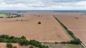184 County Road 183 - Photo 16
