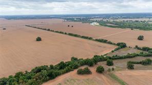 184 County Road 183 - Photo 17