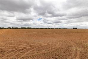 184 County Road 183 - Photo 30