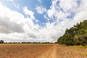184 County Road 183 - Photo 31