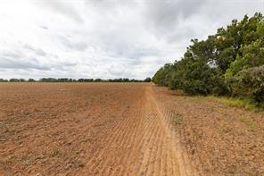 184 County Road 183 - Photo 32