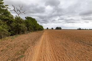 184 County Road 183 - Photo 33