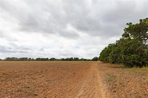 184 County Road 183 - Photo 34