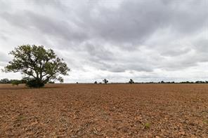 184 County Road 183 - Photo 35