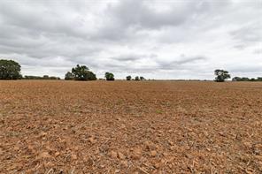 184 County Road 183 - Photo 36