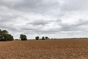 184 County Road 183 - Photo 37