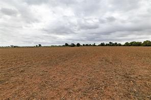 184 County Road 183 - Photo 38