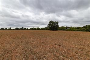 184 County Road 183 - Photo 39