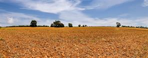 184 County Road 183 - Photo 4