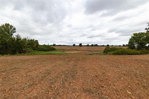 184 County Road 183 - Photo 40