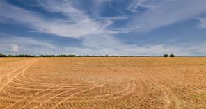184 County Road 183 - Photo 6