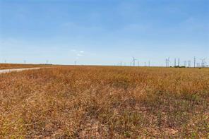 TBD CR 265 - Photo 13