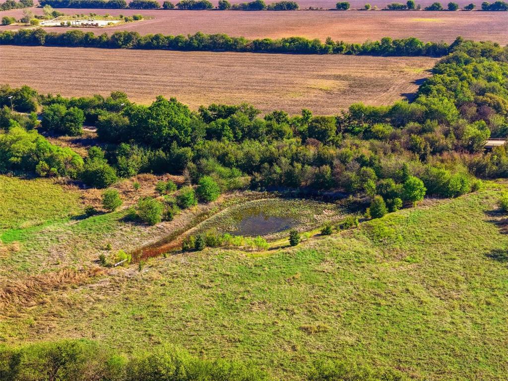 529 County Road 1123 - Photo 6