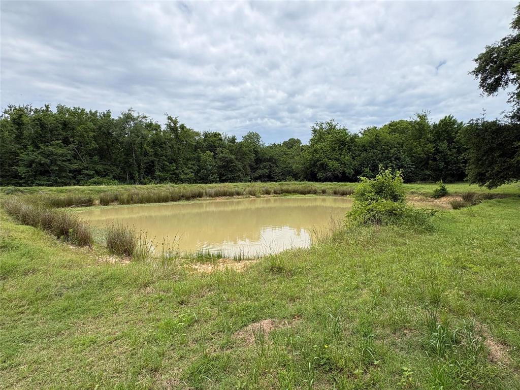 2212-2 County Road 4128 - Photo 14