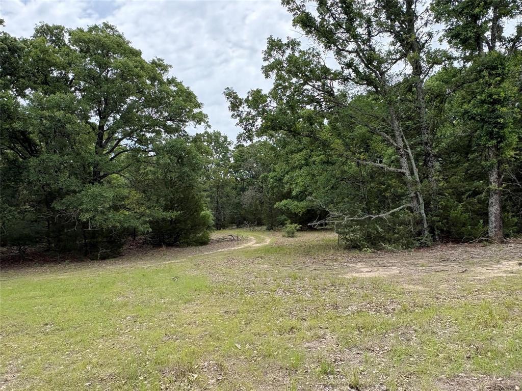 2212-2 County Road 4128 - Photo 19